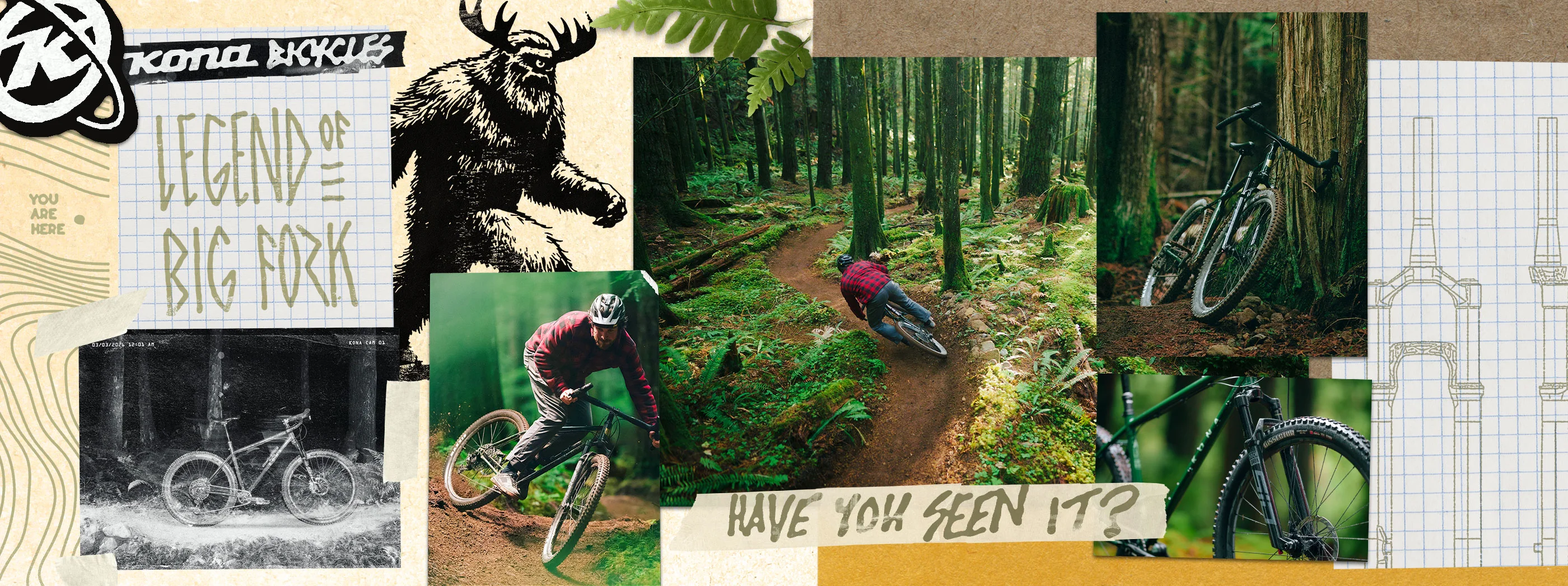 Master Every Trail and Road